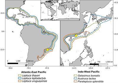 Temperature Extremes and Sex-Related Physiology, Not Environmental Variability, Are Key in Explaining Thermal Sensitivity of Bimodal-Breathing Intertidal Crabs